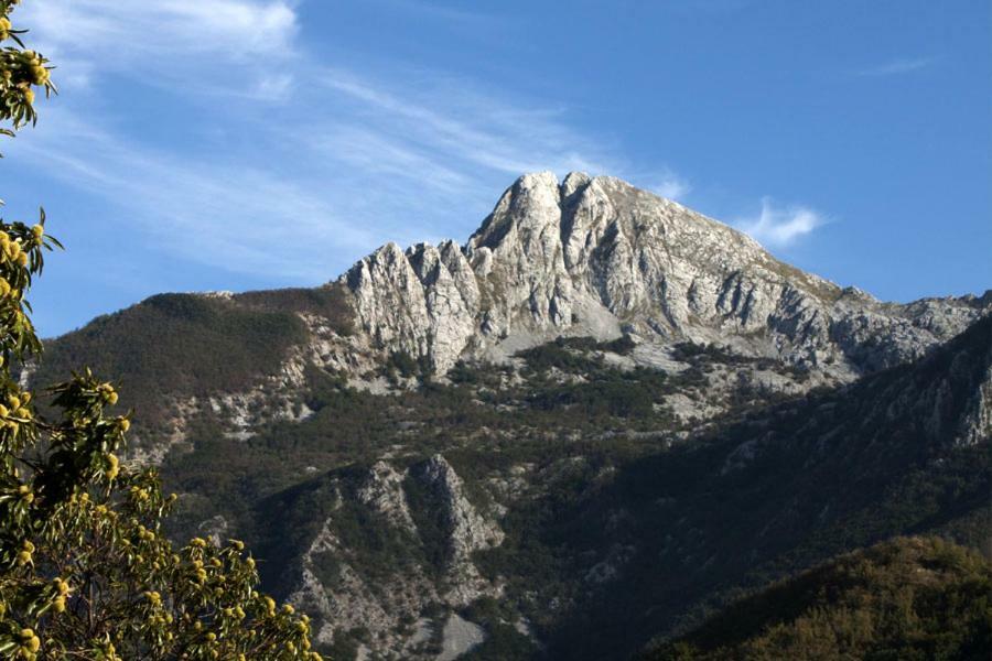 Borgo Delle Panie Bed & Breakfast Careggine Exterior foto